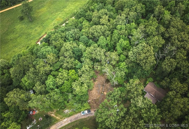 882 Wayne 459 Rd, Mo, MO 63957 - aerial overview of property's location