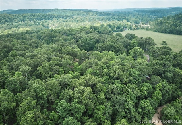 882 Wayne 459 Rd, Mo, MO 63957 - bird's eye view of a forest
