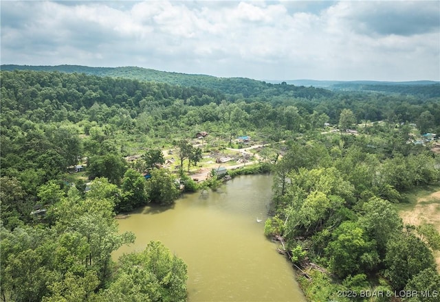 882 Wayne 459 Rd, Mo, MO 63957 - aerial view of a forest