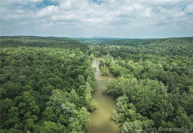 882 Wayne 459 Rd, Mo, MO 63957 - drone / aerial view of a forest and a large body of water