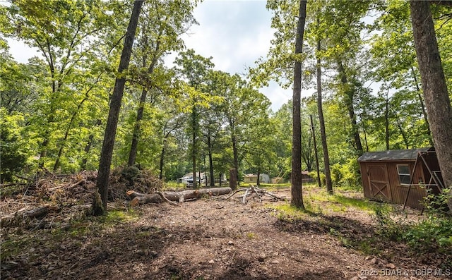 882 Wayne 459 Rd, Mo, MO 63957 - view of tree filled area