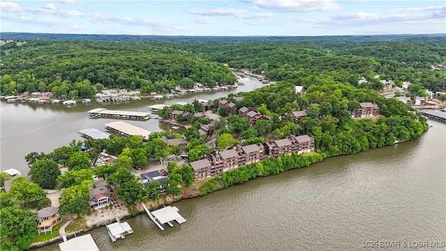 5940 Baydy Peak Rd Unit 325, Osage Beach, MO 65065 - bird's eye view of a forest and a nearby body of water