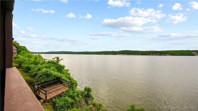 5940 Baydy Peak Rd Unit 325, Osage Beach, MO 65065 - water view