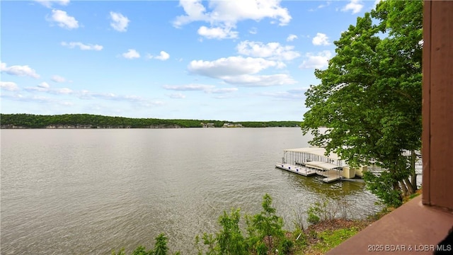 5940 Baydy Peak Rd Unit 325, Osage Beach, MO 65065 - water view with a floating dock