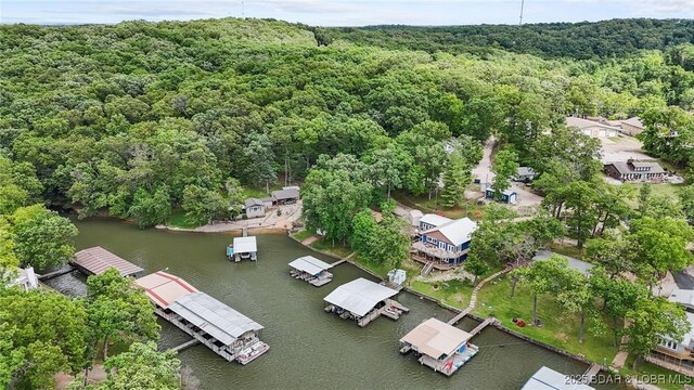 47 Dixie Ln, Sunrise Beach, MO 65079 - aerial view of a forest and a large body of water