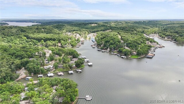 47 Dixie Ln, Sunrise Beach, MO 65079 - bird's eye view of a forest and a nearby body of water