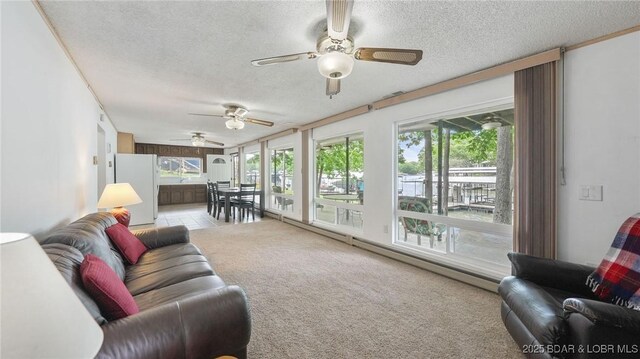 47 Dixie Ln, Sunrise Beach, MO 65079 - sunroom / solarium with baseboard heating, a textured ceiling, healthy amount of natural light, and carpet