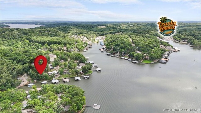 47 Dixie Ln, Sunrise Beach, MO 65079 - aerial view of a forest and a nearby body of water