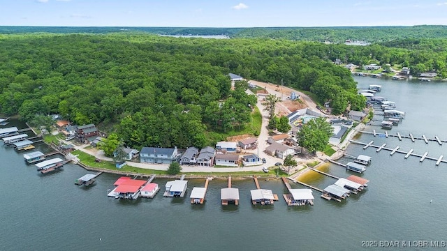 29566 Hunter Rd, Gravois Mills, MO 65037 - aerial view of property's location featuring a heavily wooded area and a large body of water