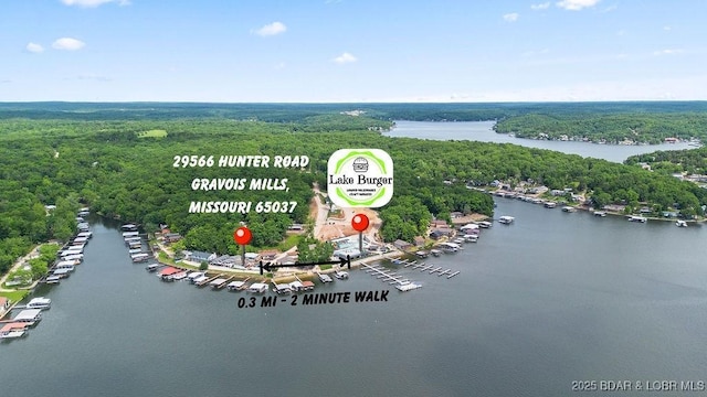 29566 Hunter Rd, Gravois Mills, MO 65037 - bird's eye view of a large body of water and a heavily wooded area