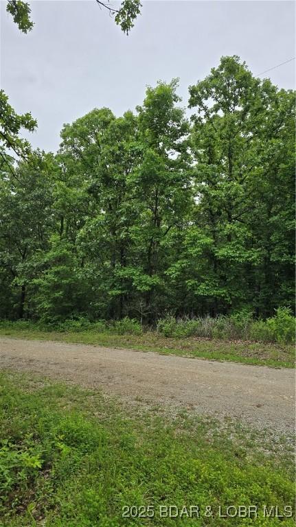 1548 Astrid Loop, Edwards, MO 65326
