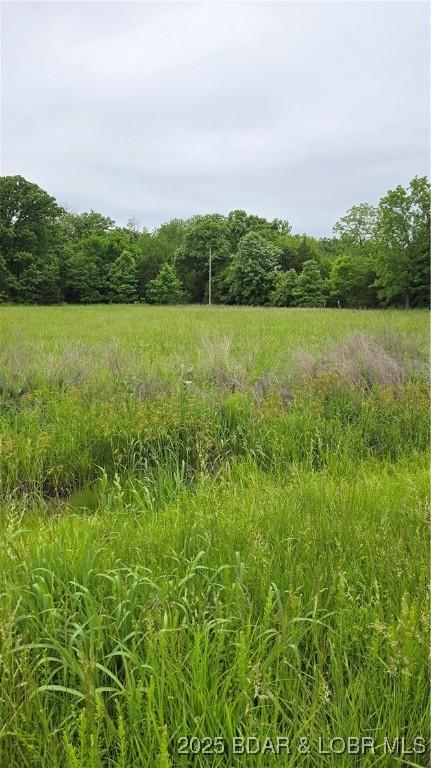 3517 Forbes Rd, Edwards, MO 65326