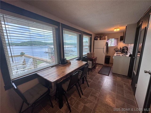 35 Knotty Pine Ln, Camdenton, MO 65020 - dining area with a textured ceiling, a water view, and dark stone finish flooring
