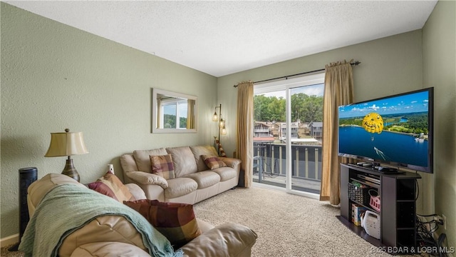 86 Henrys Way Unit 2A, Linn Creek, MO 65052 - carpeted living area featuring a textured wall and a textured ceiling