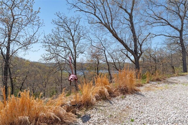 TBD No Return Rd, Sunrise Beach, MO 65079