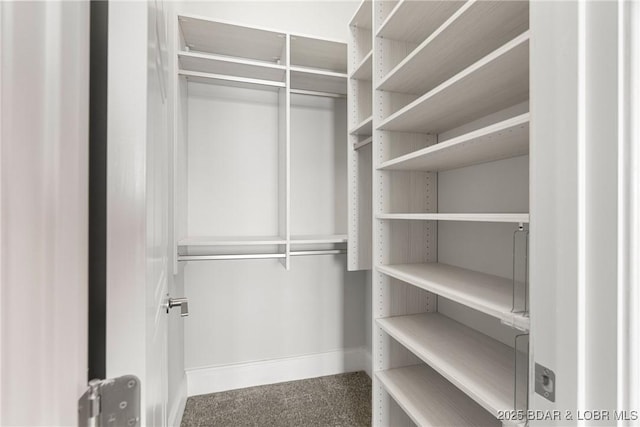 166 Captiva Dr Unit 8B, Sunrise Beach, MO 65079 - spacious closet featuring carpet flooring