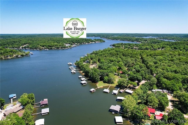 30734 Ottersway Rd, Gravois Mills, MO 65037 - aerial view of a heavily wooded area and a large body of water