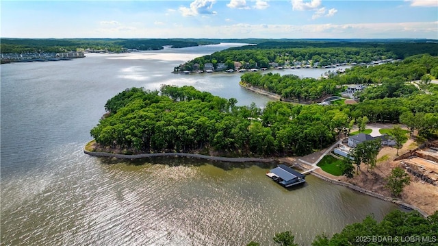 464 E Village Rd, Villages, MO 65079 - photo 9