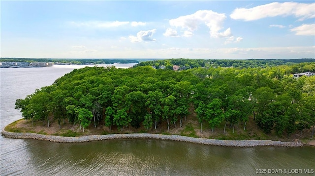 464 E Village Rd, Villages, MO 65079 - photo 10