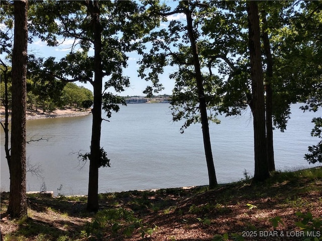 464 E Village Rd, Villages, MO 65079 - photo 30