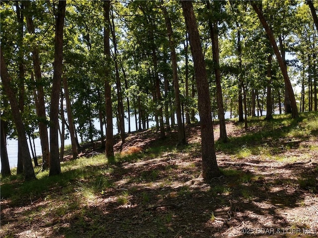 464 E Village Rd, Villages, MO 65079 - photo 31