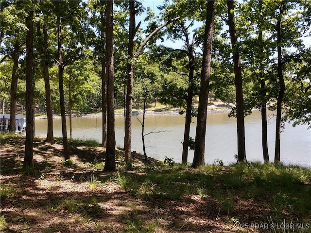 464 E Village Rd, Villages, MO 65079 - photo 32