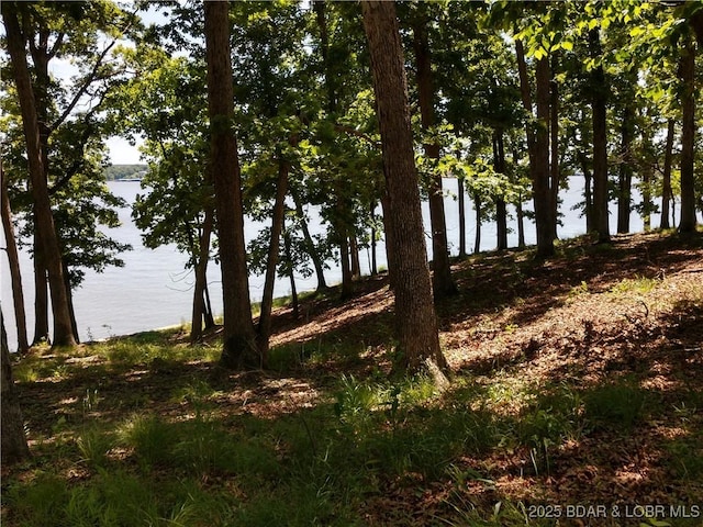 464 E Village Rd, Villages, MO 65079 - photo 33