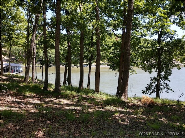 464 E Village Rd, Villages, MO 65079 - photo 34