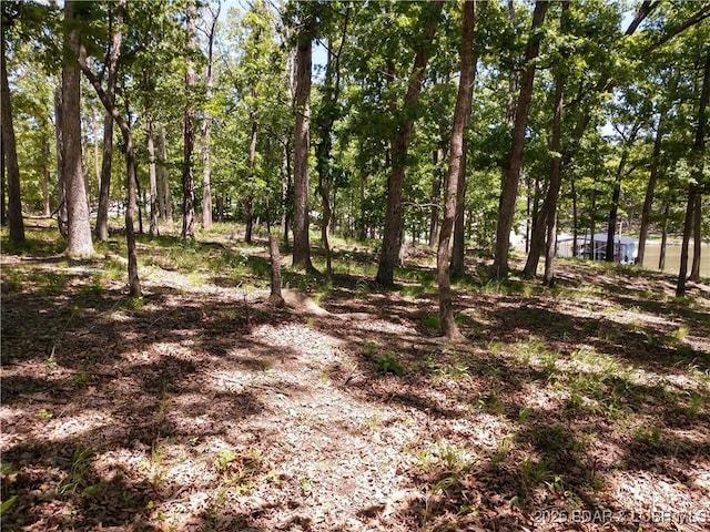 464 E Village Rd, Villages, MO 65079 - photo 35
