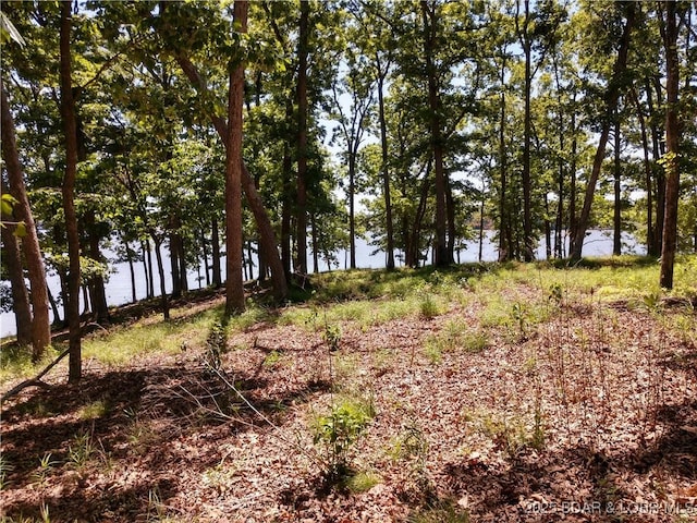 464 E Village Rd, Villages, MO 65079 - photo 36
