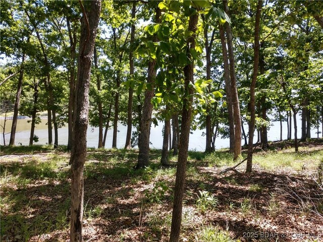 464 E Village Rd, Villages, MO 65079 - photo 37