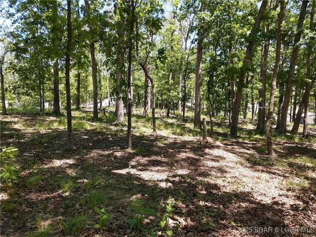 464 E Village Rd, Villages, MO 65079 - photo 38