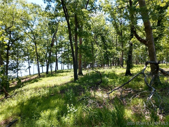464 E Village Rd, Villages, MO 65079 - photo 23