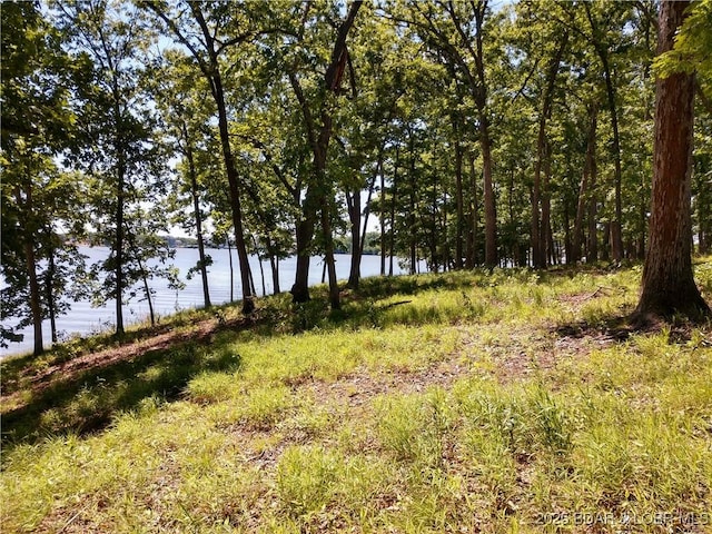 464 E Village Rd, Villages, MO 65079 - photo 24
