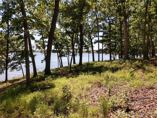 464 E Village Rd, Villages, MO 65079 - photo 25