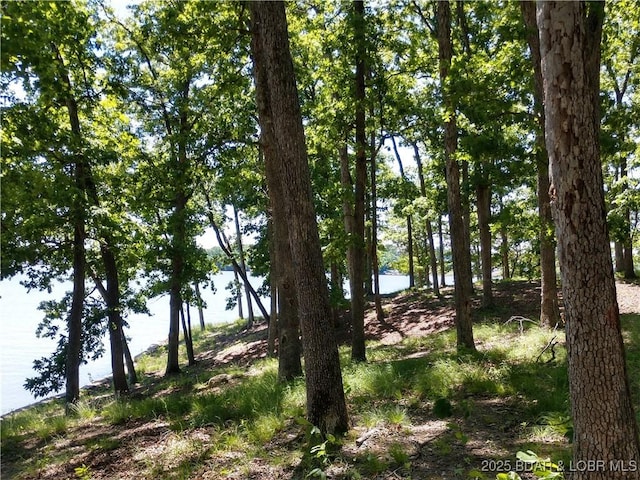 464 E Village Rd, Villages, MO 65079 - photo 29