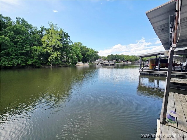 53 Woodridge Estates Ct, Sunrise Beach, MO 65079 - photo 8