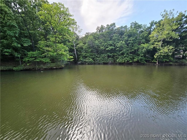 53 Woodridge Estates Ct, Sunrise Beach, MO 65079 - photo 9