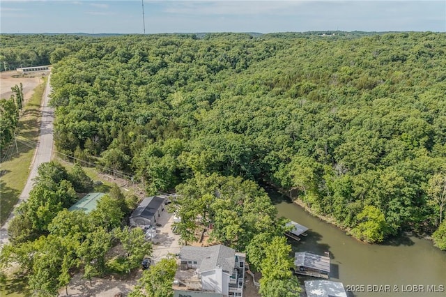 53 Woodridge Estates Ct, Sunrise Beach, MO 65079 - photo 16