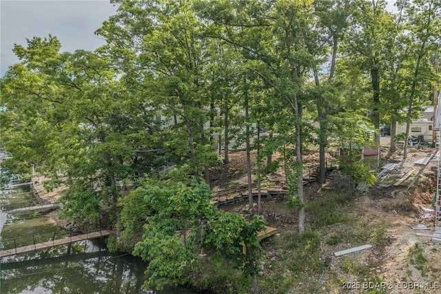 53 Woodridge Estates Ct, Sunrise Beach, MO 65079 - photo 21