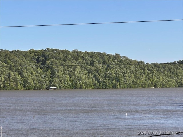 33722 Waterfront Dr, Stover, MO 64078 - water view featuring a forest