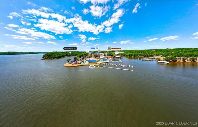 491 Walkers Cay, Osage Beach, MO 65065 - water view