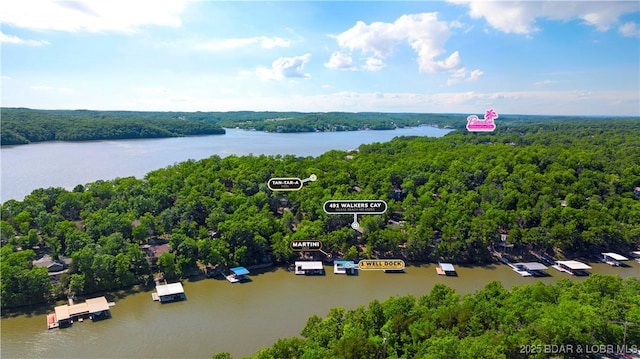 491 Walkers Cay, Osage Beach, MO 65065 - bird's eye view of a forest and a nearby body of water