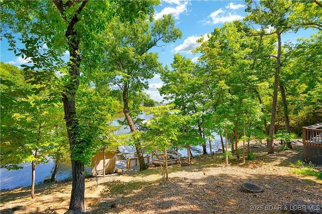 491 Walkers Cay, Osage Beach, MO 65065 - view of yard