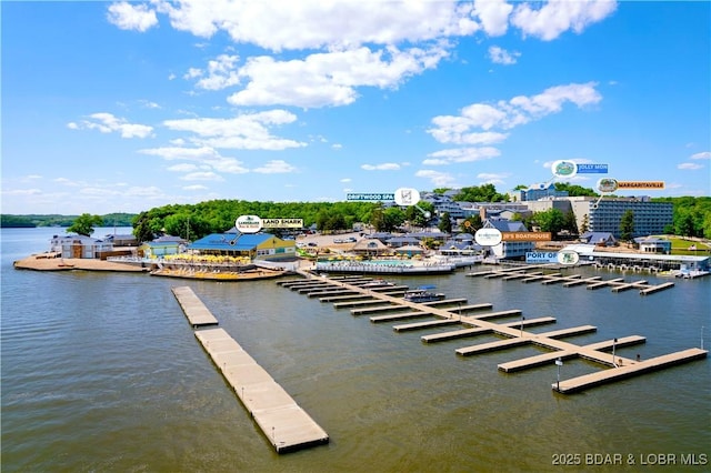 491 Walkers Cay, Osage Beach, MO 65065 - water view featuring a dock