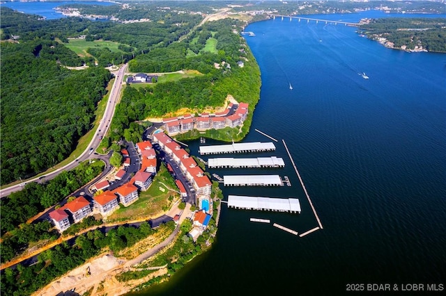 184 E Palisades Condo Dr Unit 4A, Lake Ozark, MO 65049 - aerial view of property's location featuring a large body of water