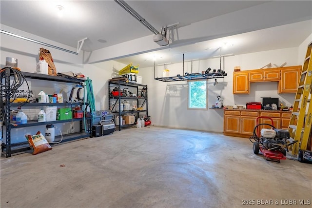 55 Shagbark Dr, Sunrise Beach, MO 65079 - garage featuring a garage door opener