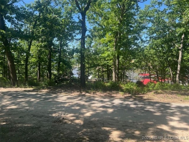 34443 Ivy Bend Rd, Stover, MO 65078 - view of road