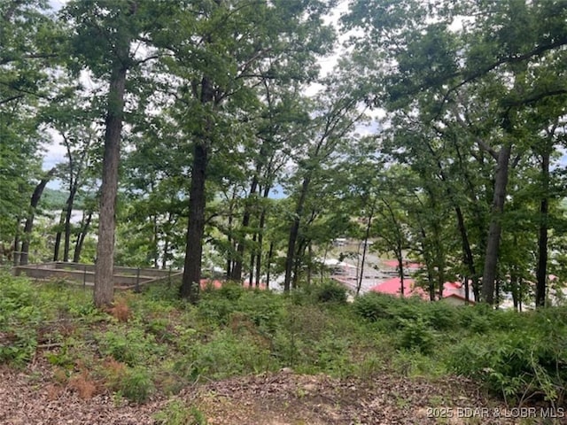 34443 Ivy Bend Rd, Stover, MO 65078 - view of nature