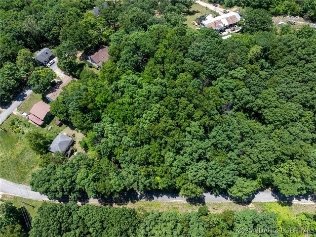 Island View Ln, Camdenton, MO 65020
